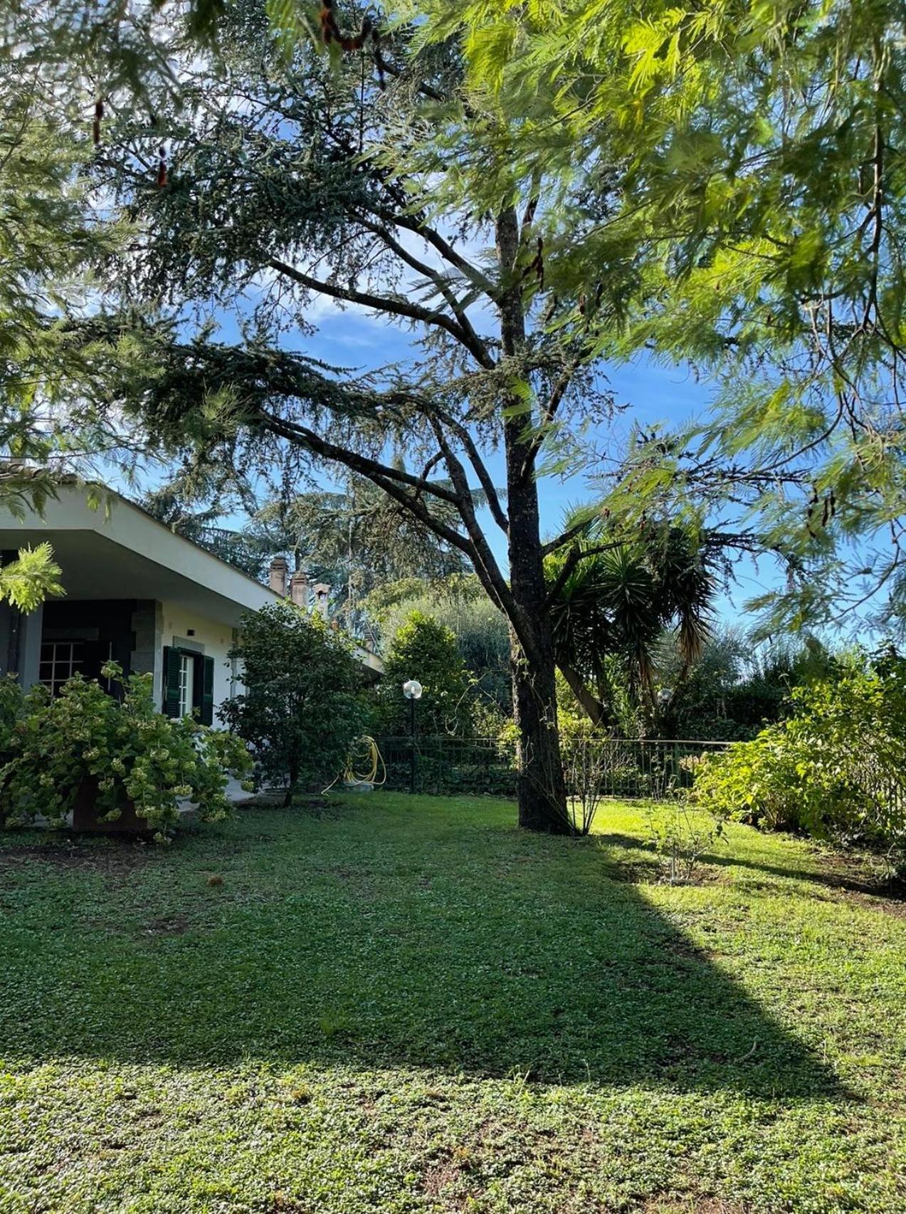 Delightful Stylish House With Private Garden Close To Downtown Semesterbostad *